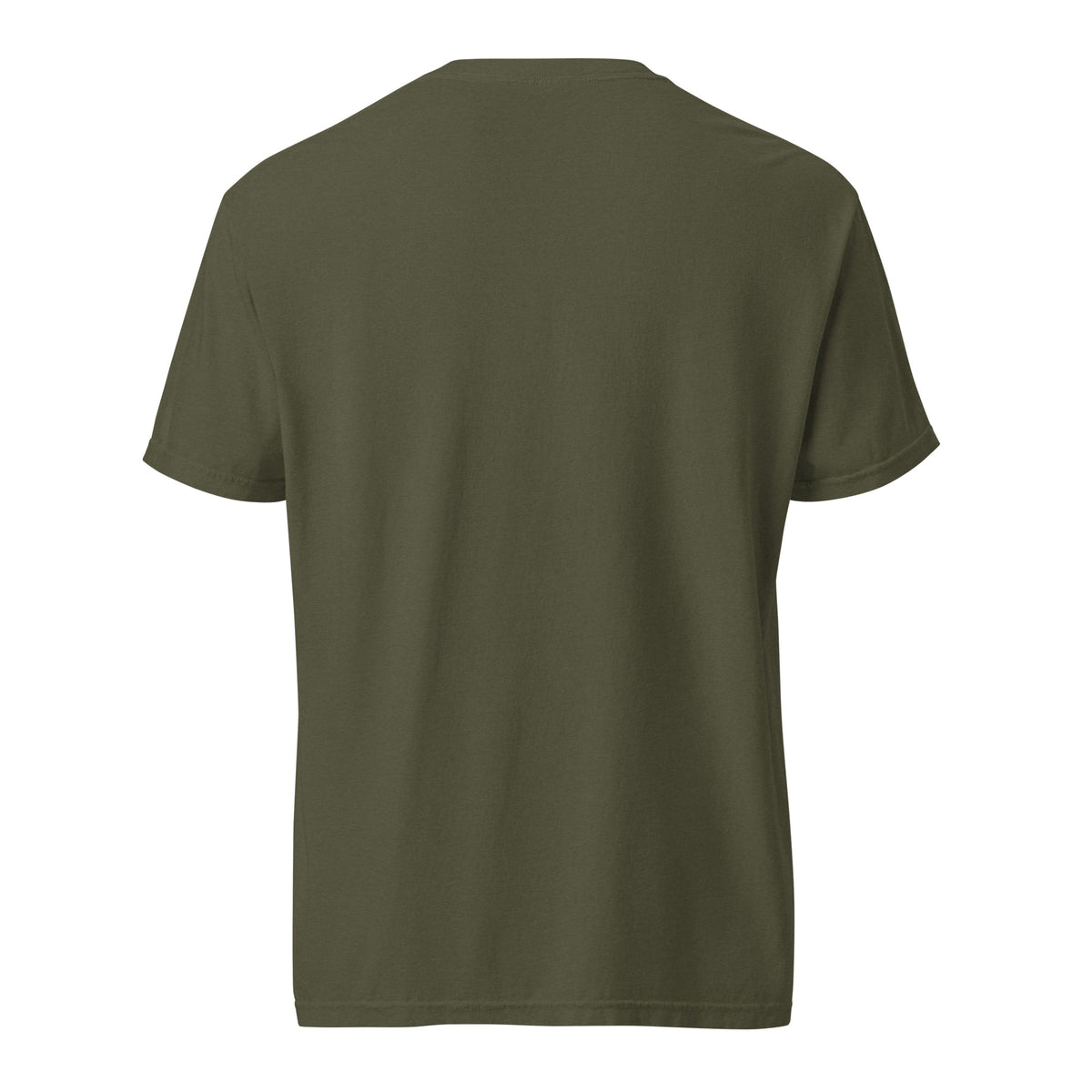 Back view of the sage green Ephesians 5:14 men’s Christian T-shirt.