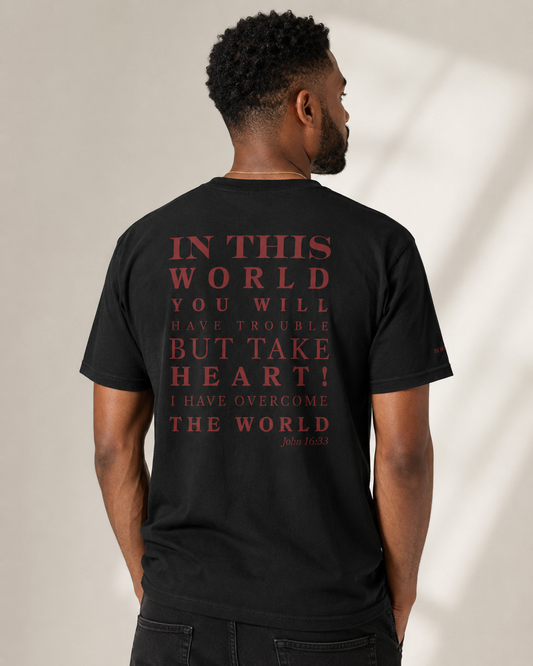 Male model wearing a black John 16:33 Christian t-shirt featuring the red Take Heart scripture graphic on the back.