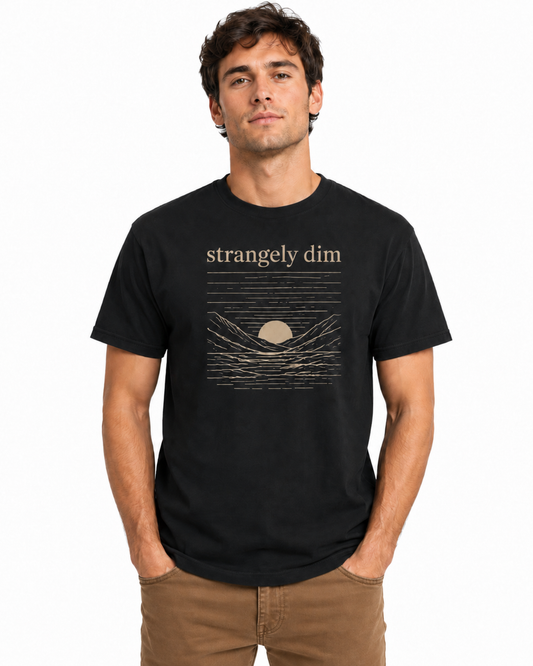 Male model wearing a black Strangely Dim Christian graphic T-shirt with brown pants on a white background